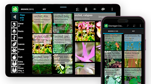 Flora ID for Android